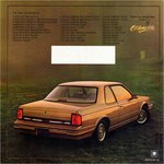 1986 Oldsmobile Mid Size (2)-44