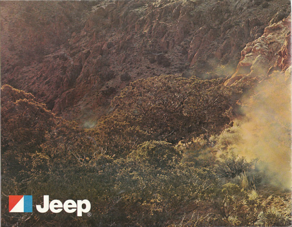 1977 Jeep Full Line-36