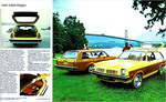 1974 Pontiac Astre-05-06