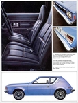 1973 American Motors-03
