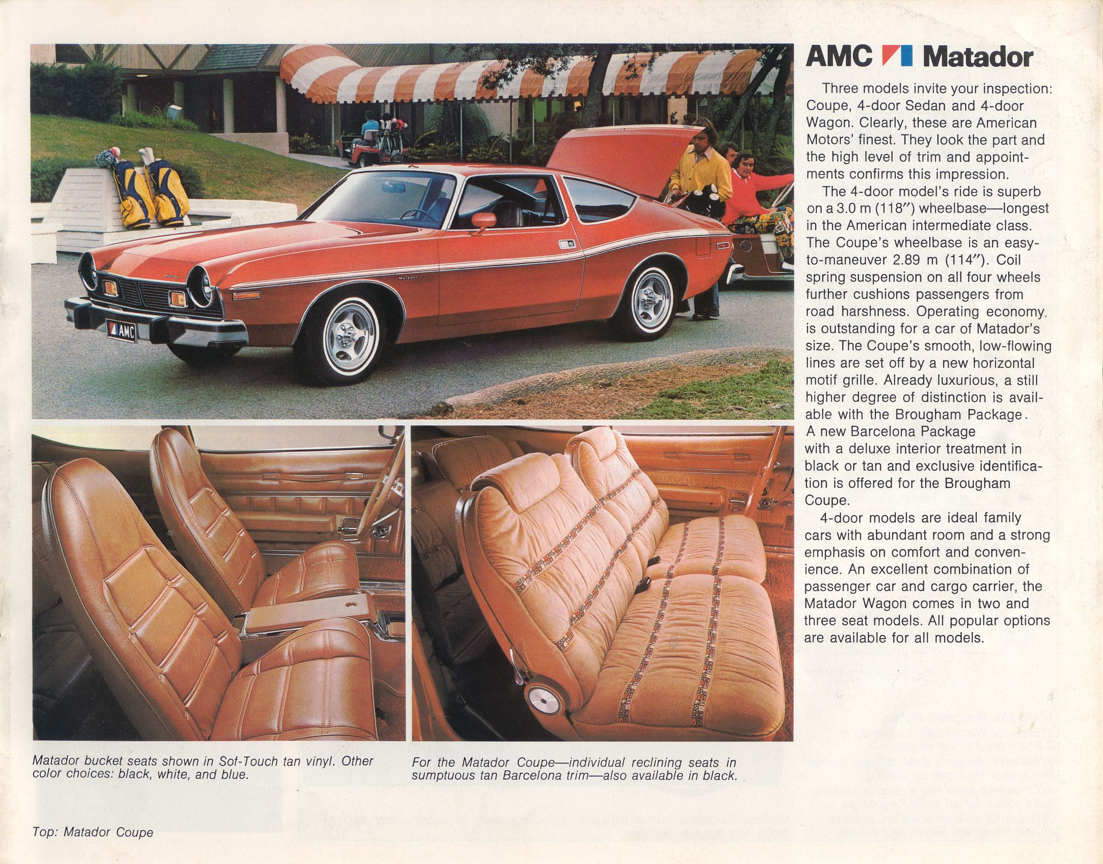 1976 AMC Full Line-19