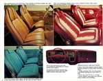 1976 AMC Passenger Cars-04