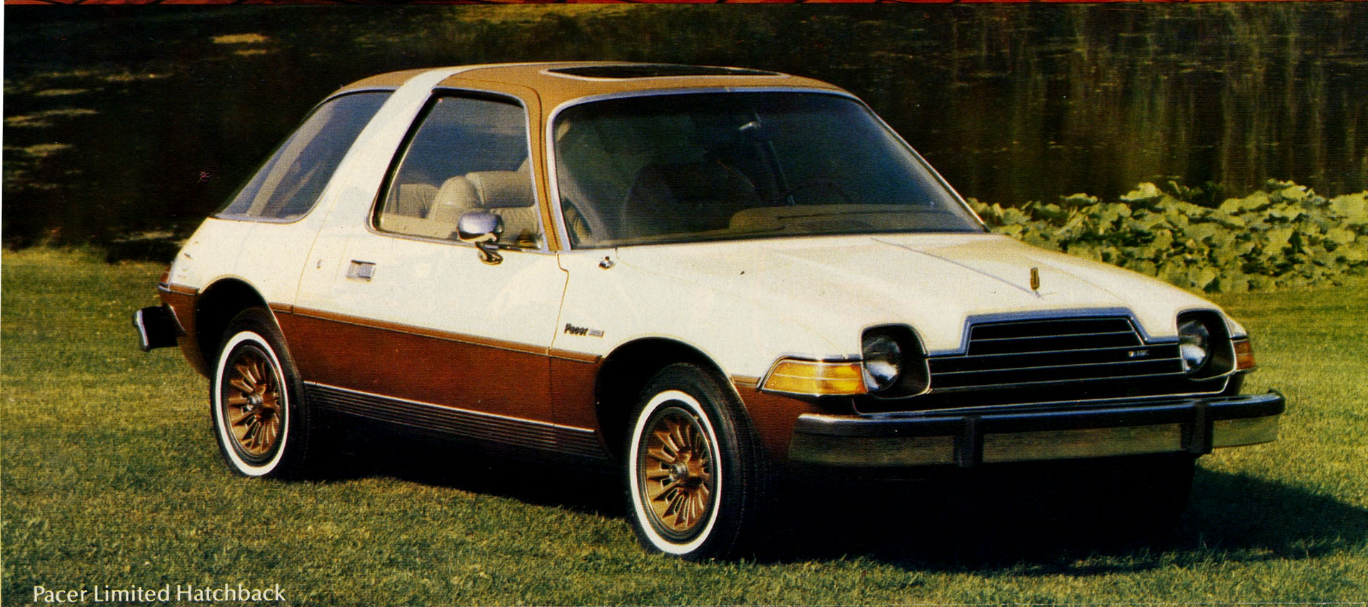 1979 AMC-15