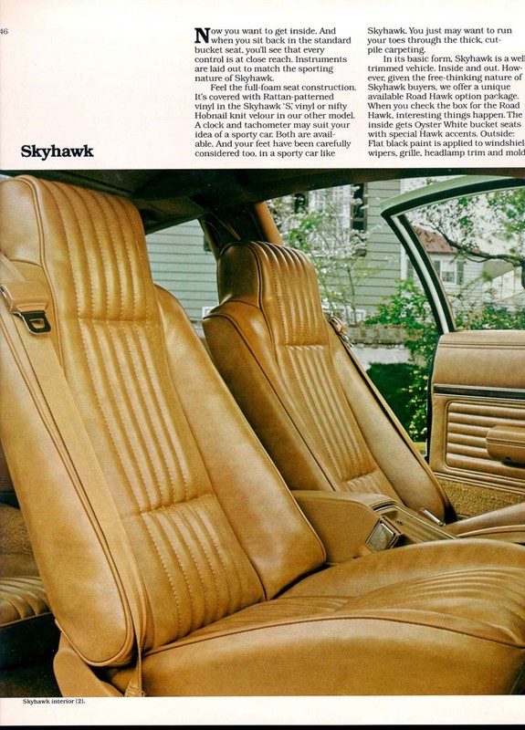 1980 Buick Skyhawk-03