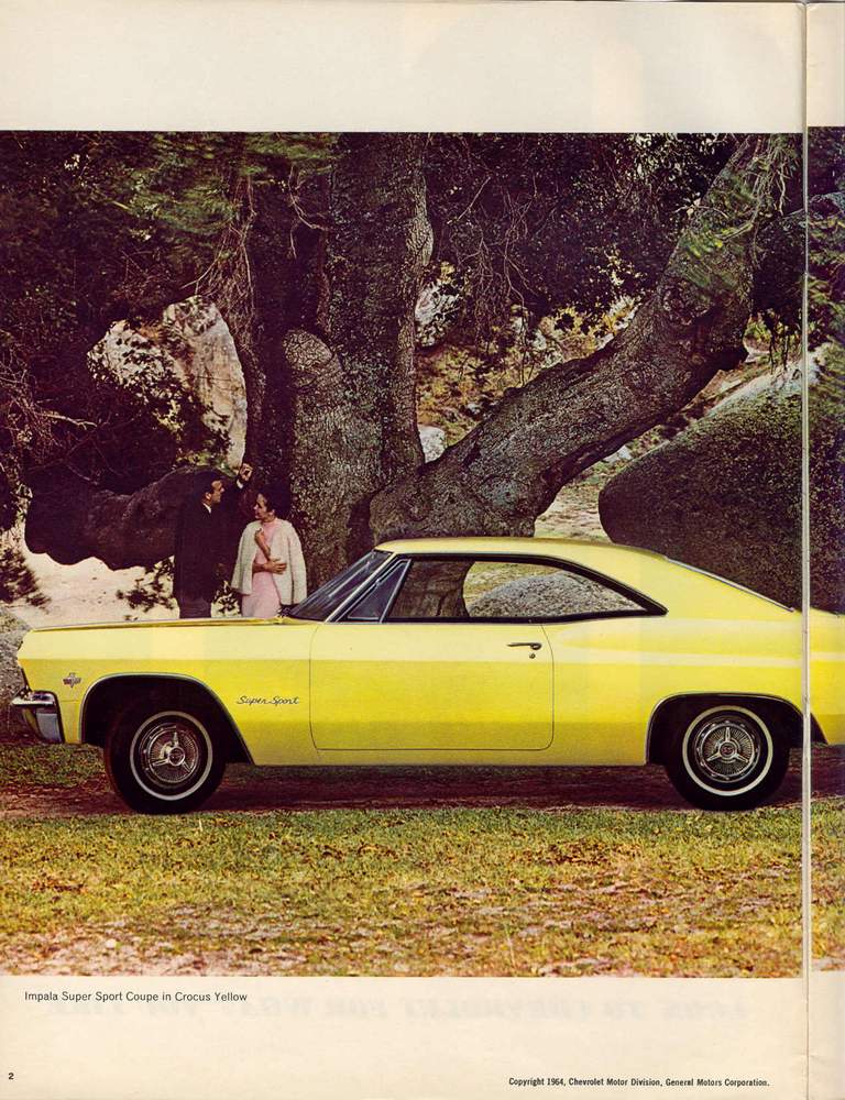 1965 Chevrolet-02