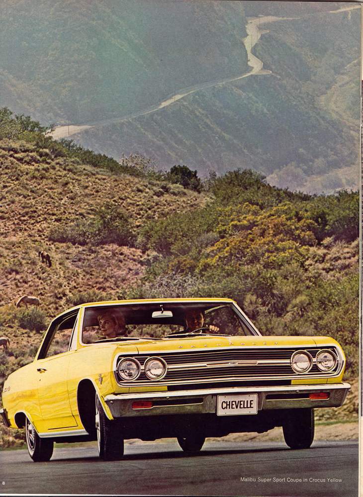 1965 Chevrolet-08