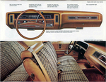 1976 Chevrolet Full Size-09