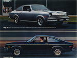 1976 Chevrolet Vega-09