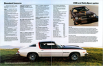 1977 Chevrolet Camaro-06-07