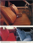 1979 Chevrolet Brochure-11