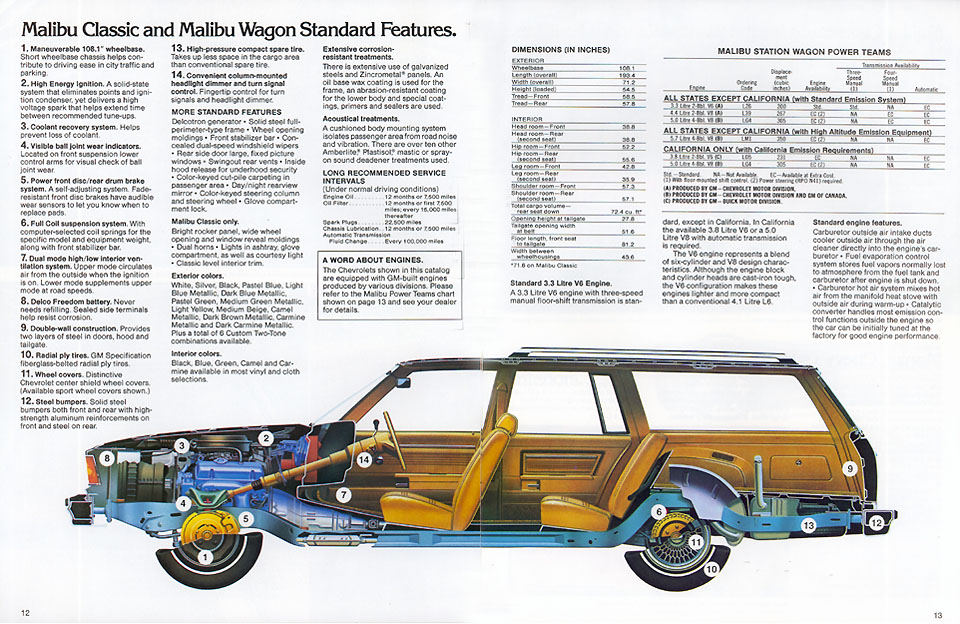 1979 Chevrolet Wagons-07
