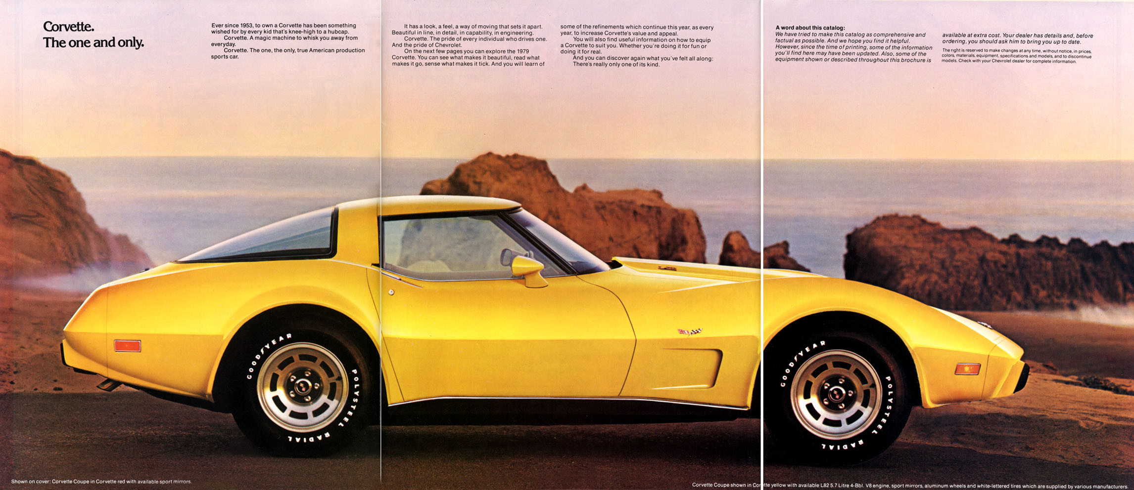1979 Chevrolet Corvette-02