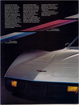 1981 Chevrolet Corvette-04