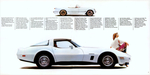 1982 Chevrolet Corvette-02-03