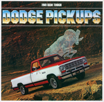 1981 Dodge Pickups-01