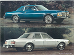 1978 Dodge Diplomat-a06