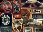 1978 Dodge Diplomat-a10