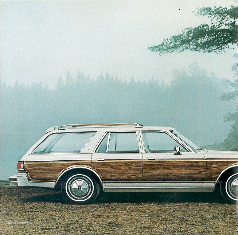 1980 Dodge Diplomat-06