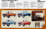 1981 Ford Pickup-07