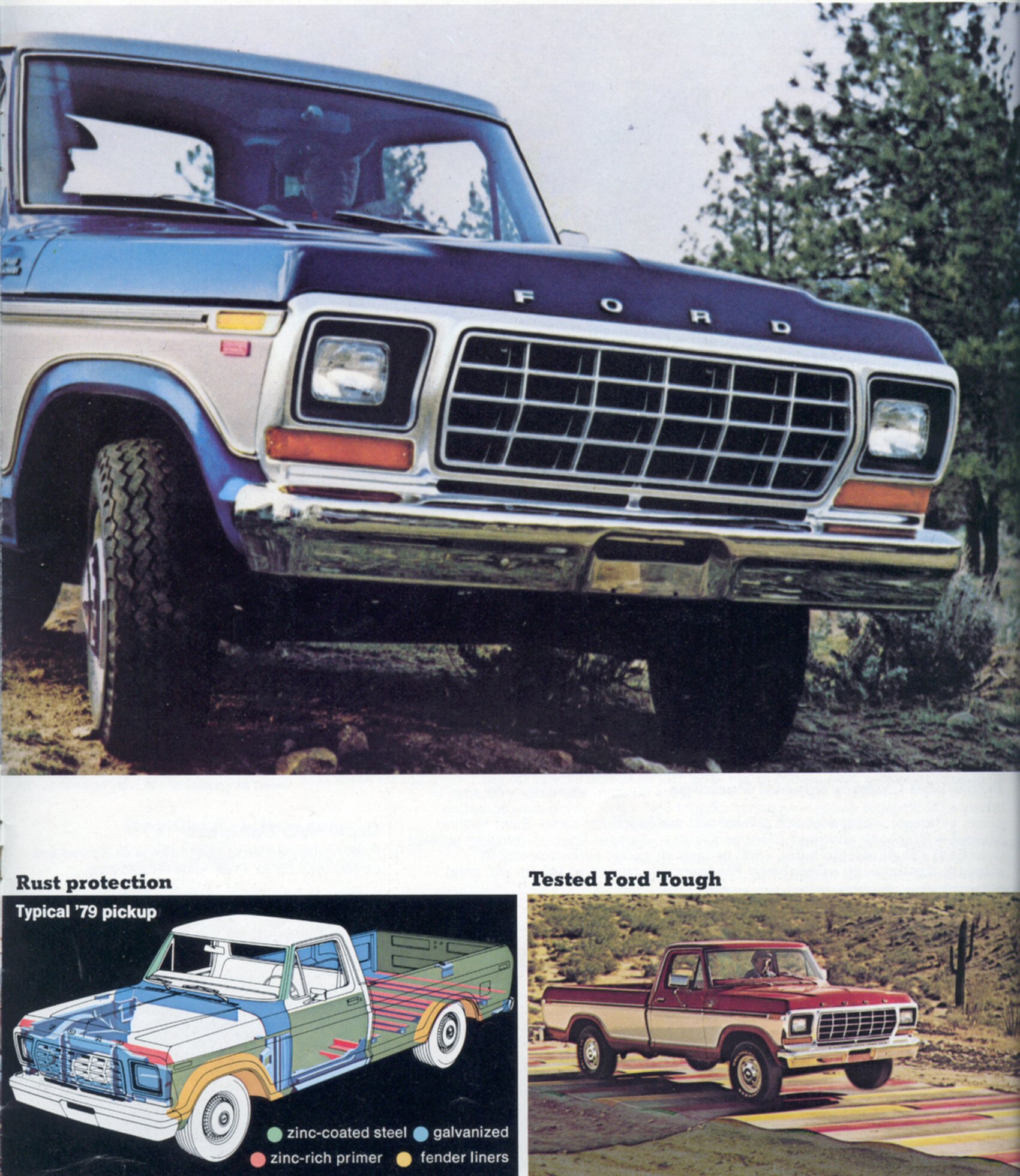 1979 Ford-12
