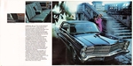 1967 Ford Full Size-06-07