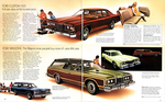 1974 Ford Full Size-16-17