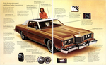 1974 Ford Full Size-20-21
