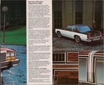 1980 Ford LTD-07