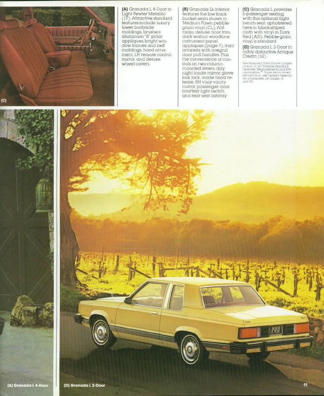 1981 Ford Granada-10