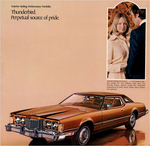 1974 Ford Thunderbird-03