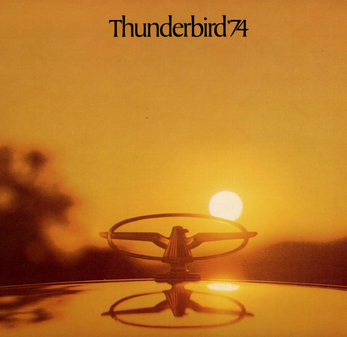 1974 Ford Thunderbird-01