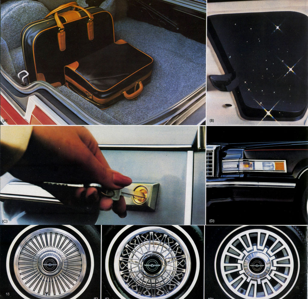 1980 Ford Thunderbird-18
