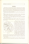 1935 Terraplane Manual-35