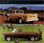 1980 Jeep Truck-07 001
