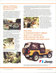 1982 Jeep Jamboree-06