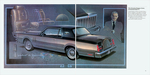 1981 Lincoln Continental Mark VI-08