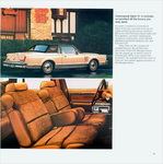 1981 Lincoln Continental Mark VI-15