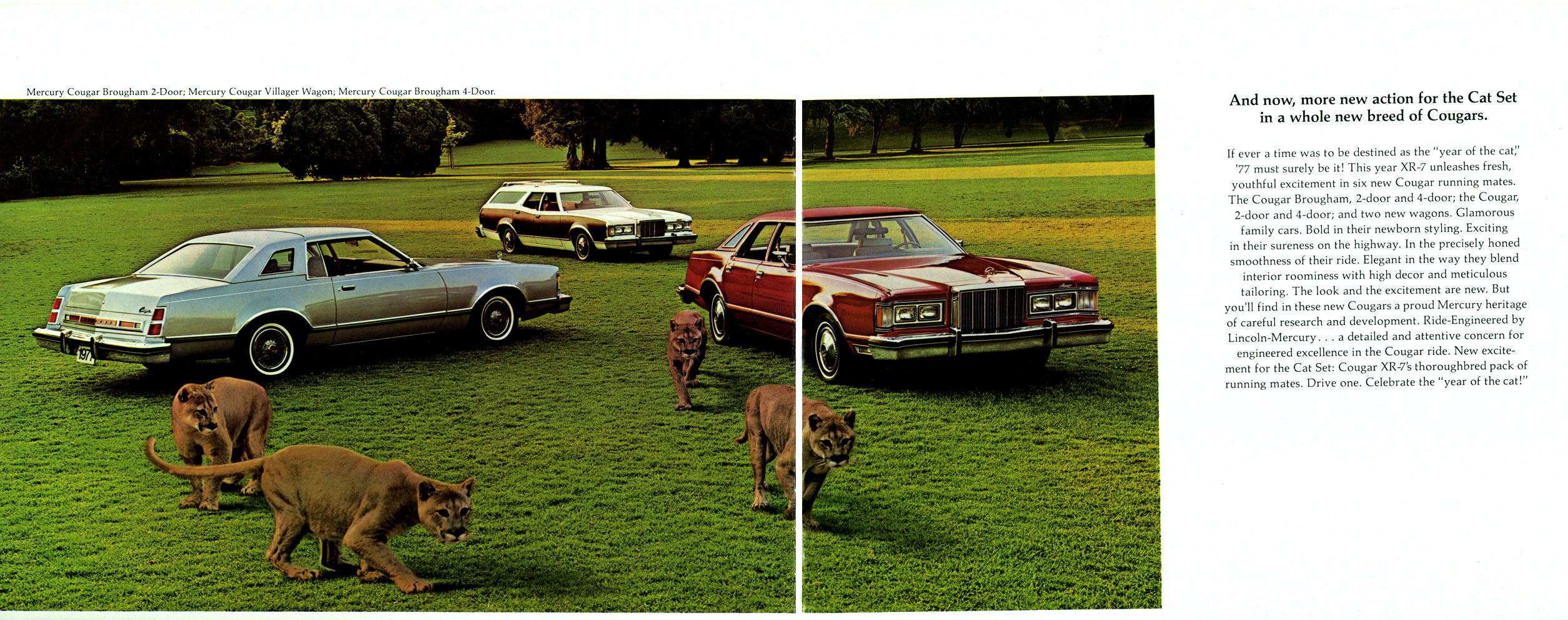 1977 Mercury Cougar-08-09