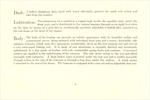 1907 National Motor Cars-15