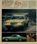1977 Oldsmobile Full Size-20