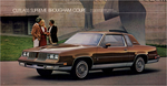 1983 Oldsmobile Cutlass-16-17