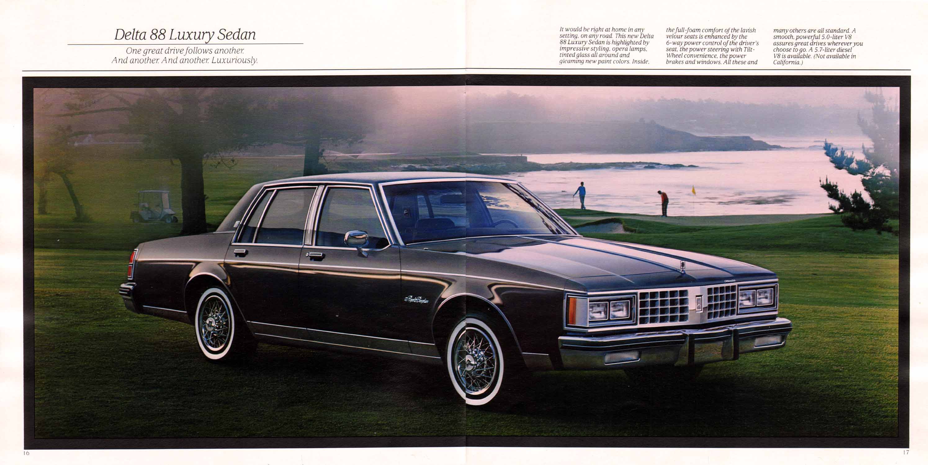 1985 Oldsmobile Full Size-16-17