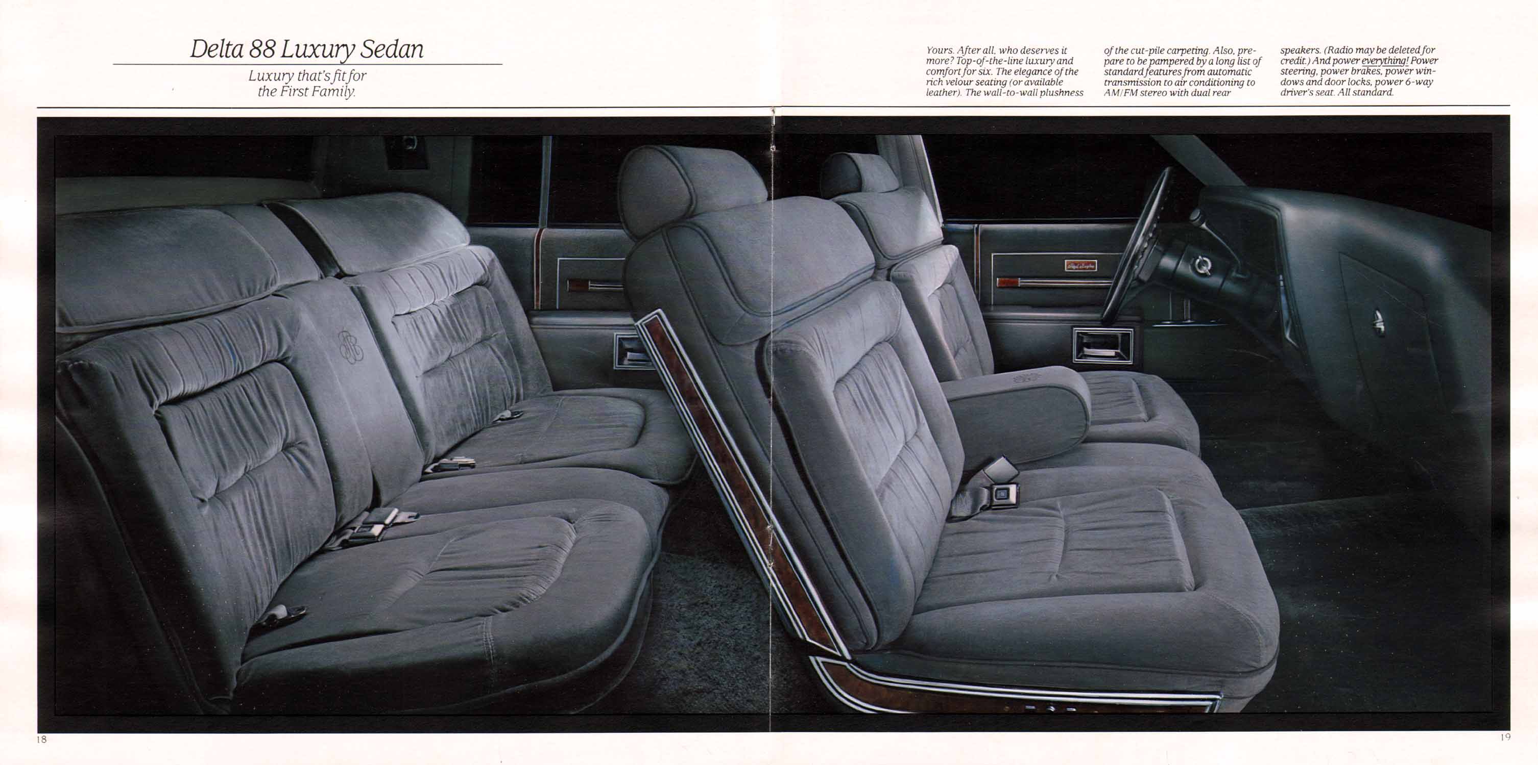 1985 Oldsmobile Full Size-18-19