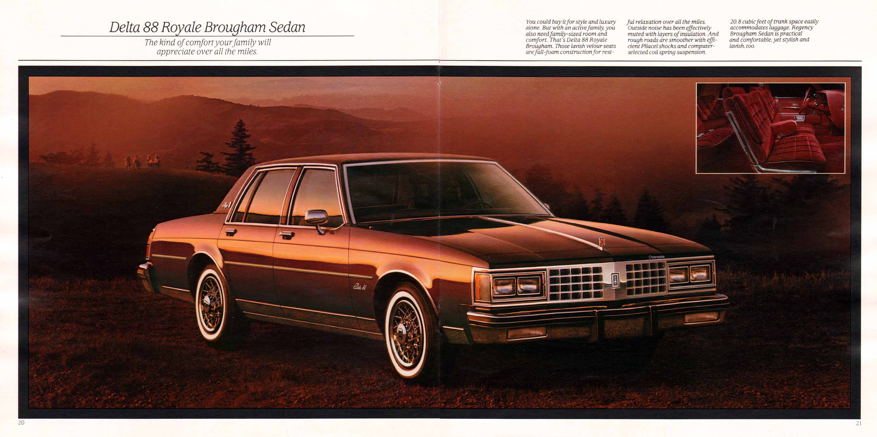 1985 Oldsmobile Full Size-20-21