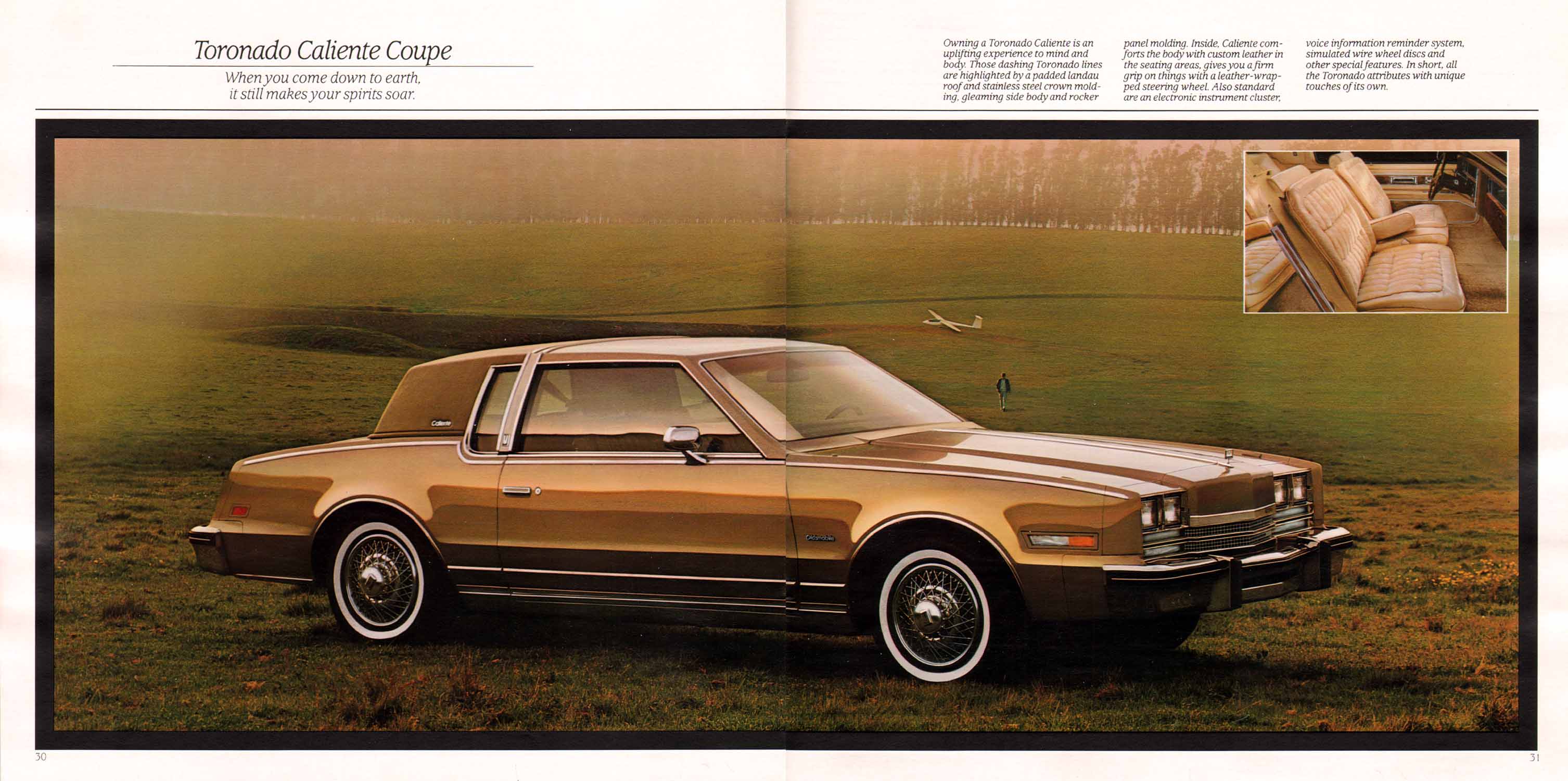1985 Oldsmobile Full Size-30-31