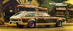 1974 AMC Prestige-24-25