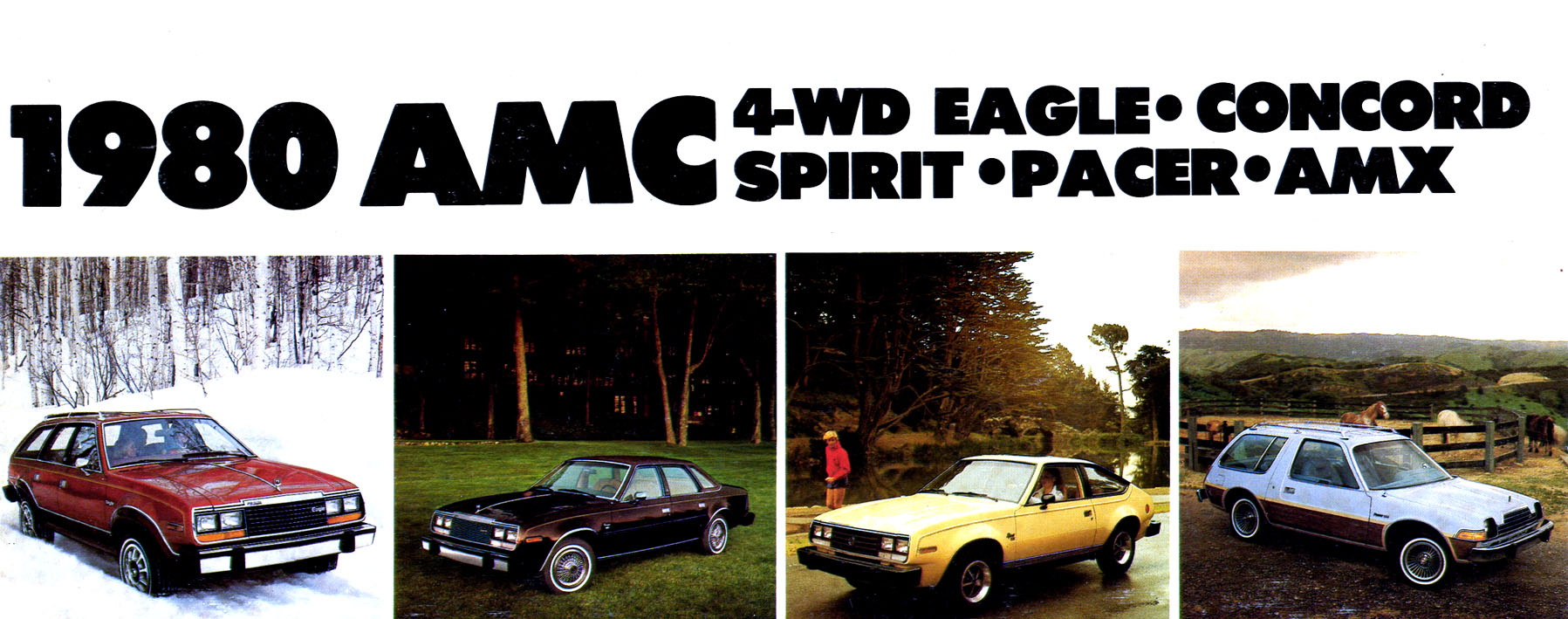 1980 AMC Full Line-01