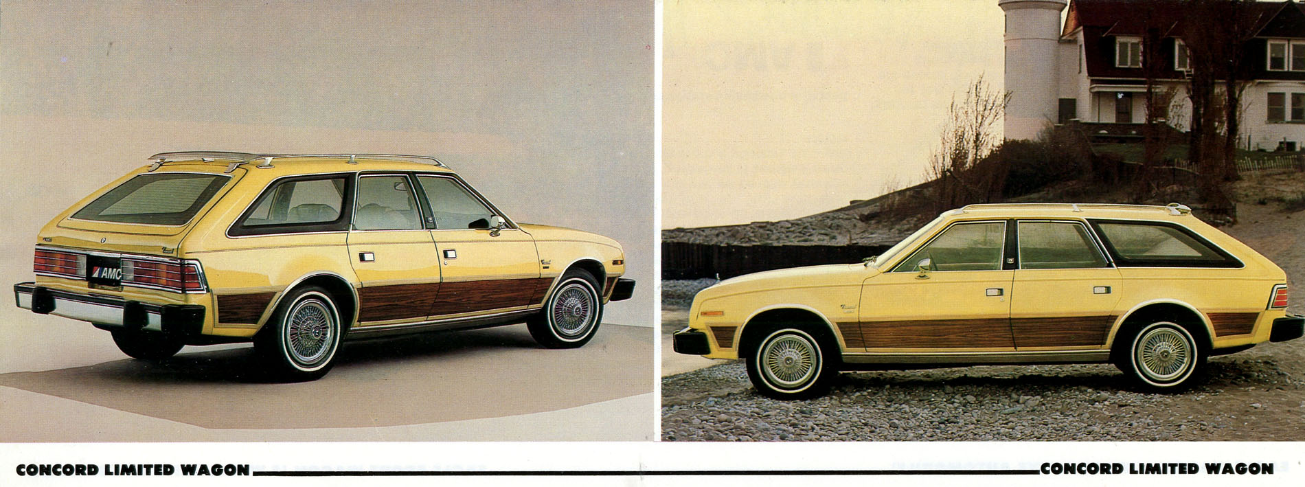 1980 AMC Full Line-04