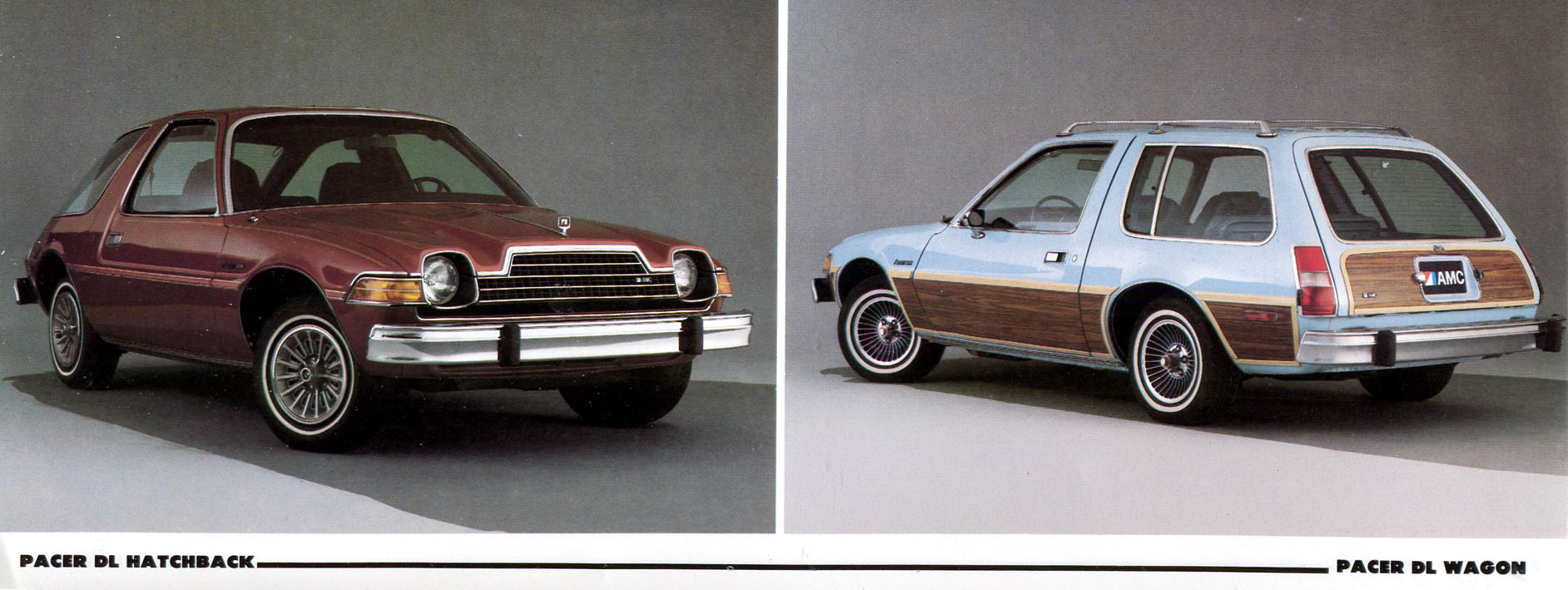 1980 AMC Full Line-05