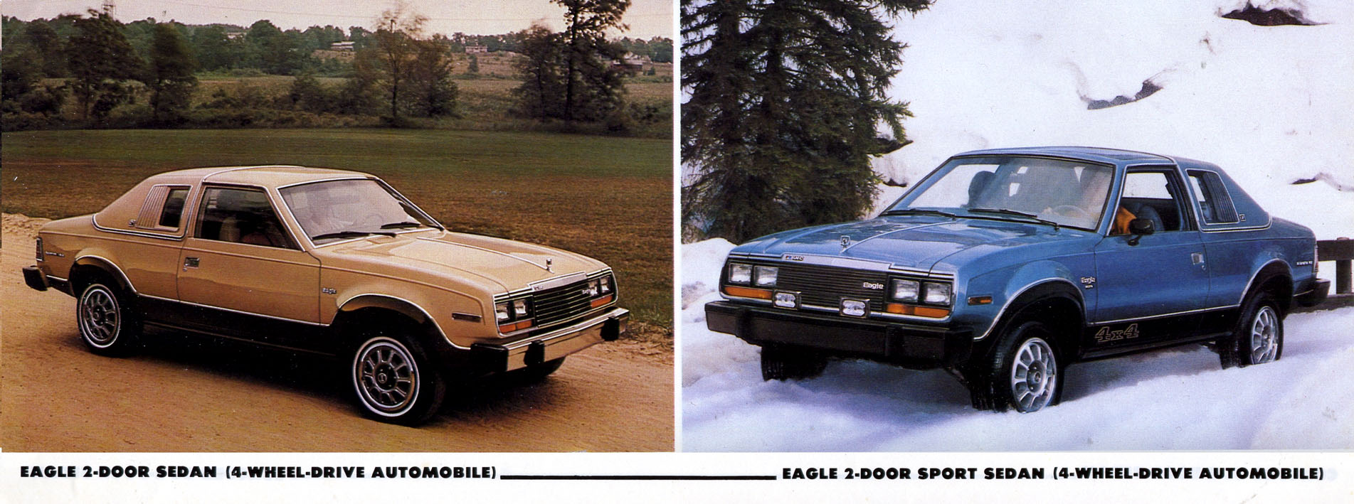 1980 AMC Full Line-06